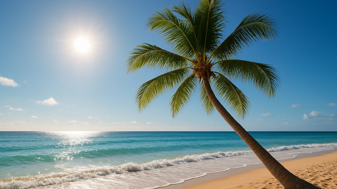 Sécurité incendie en vacances : que faire à l’hôtel, en location Airbnb ou en auberge ?